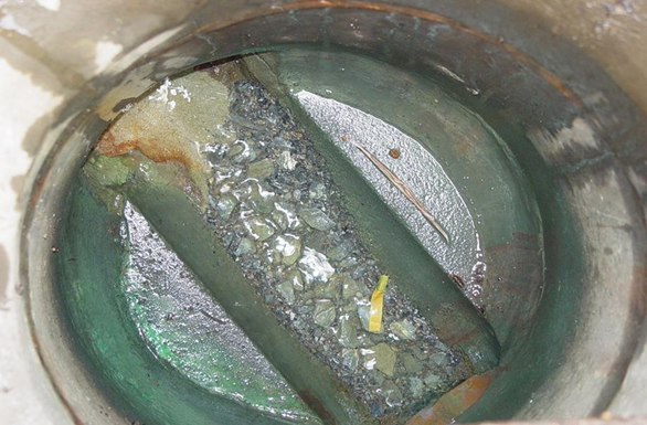 腐食しているますの写真