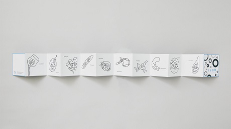 FチームZINE画像2