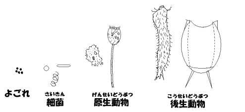 微生物のしゅるい