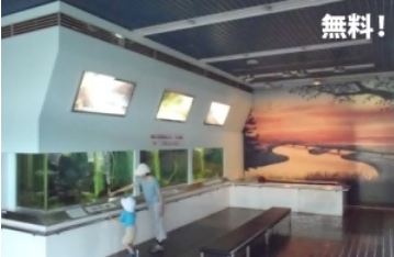 ふれあい水族館