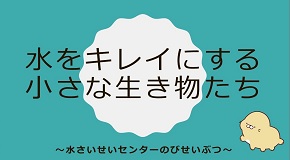 画像：東京動画5映像写真