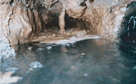 下水道管に油が付着し、下水の流れが悪くなっている様子