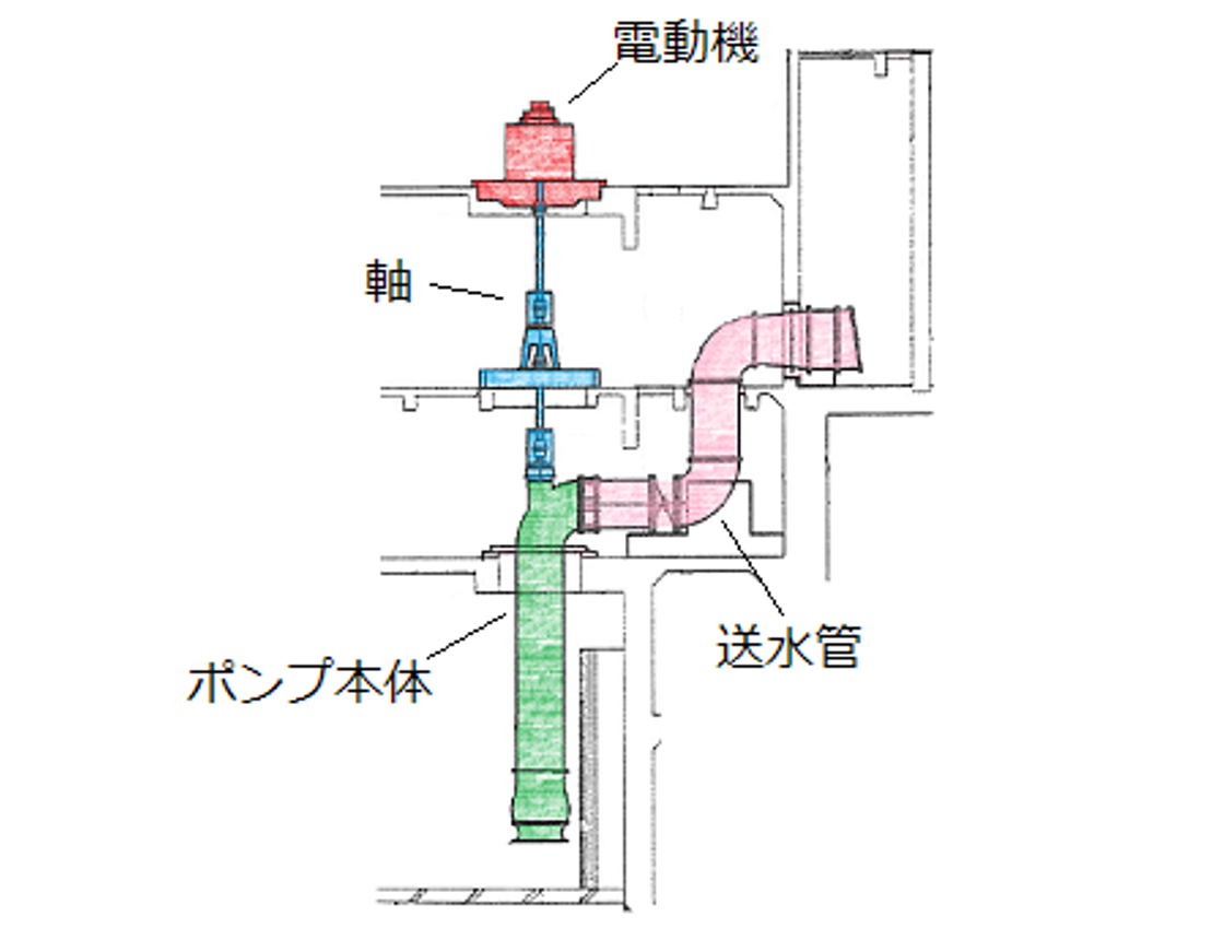 ポンプ全体図（断面図）