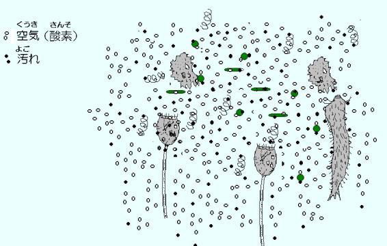 微生物のはたらき