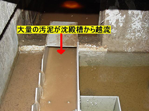 大量の汚泥が沈殿槽から越流