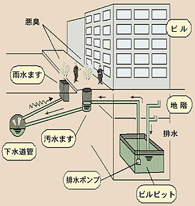 管きょが破損している様子