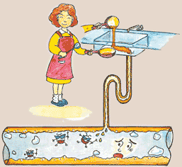 女性が台所に油を流して配管に汚れが溜まっている様子