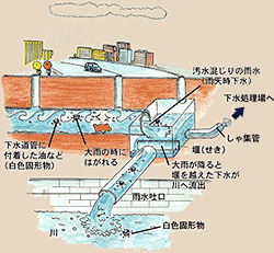 白色固形物の流出防止対策イメージ図施策前