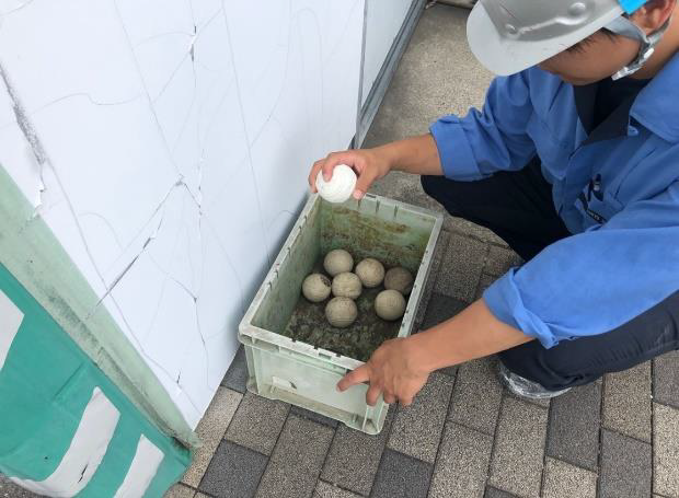 写真：ボール返却ボックス設置